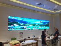 Indoor P3 led screen Oman